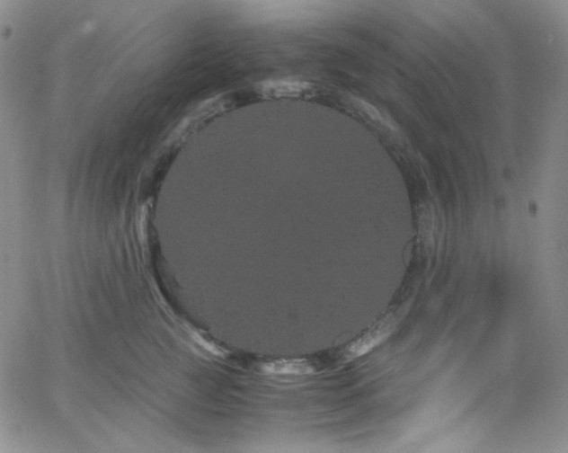 X0000062630761200512211229