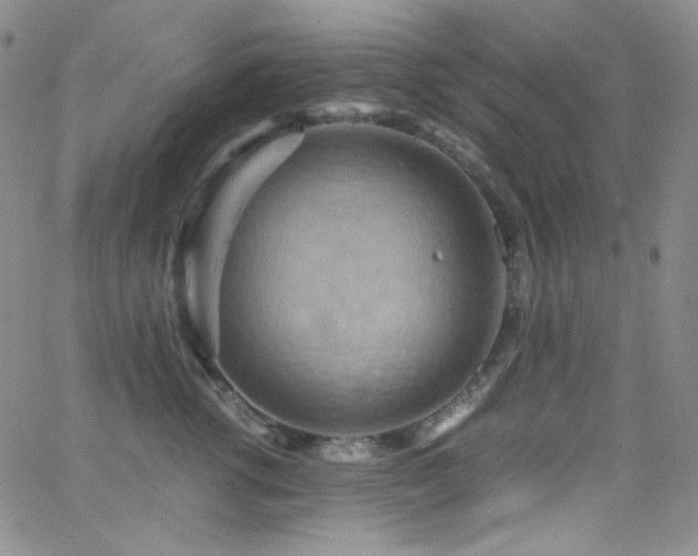 X0000062630762200512211229