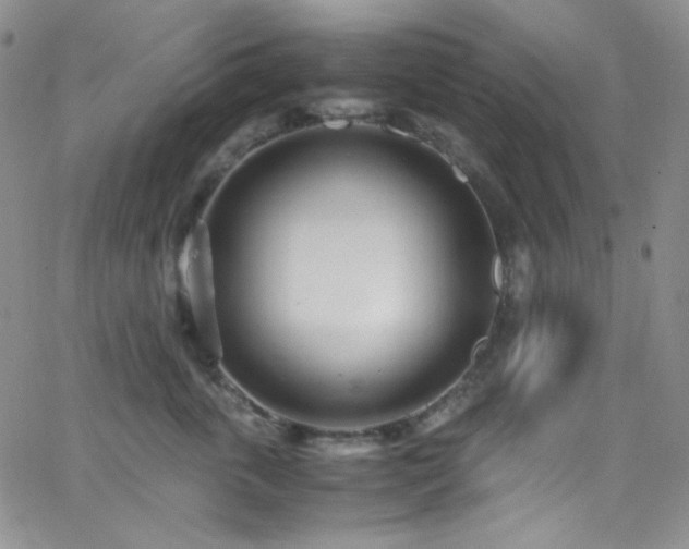 X0000062630763200512211229