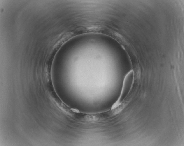 X0000062630764200512211229