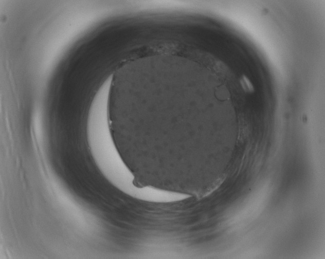 X0000062630765200512211229