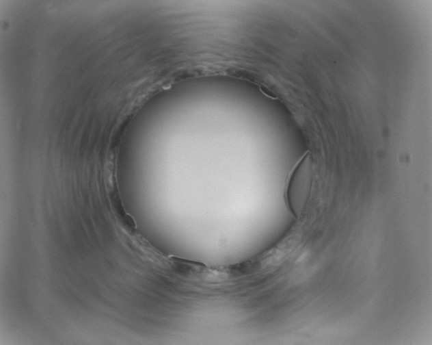 X0000062630768200512211229