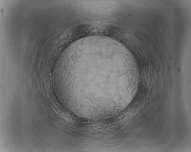 X0000062630769200512211228