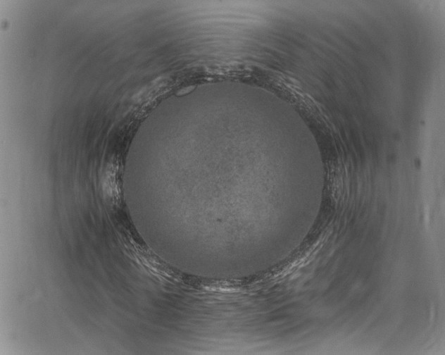 X0000062630770200512211228