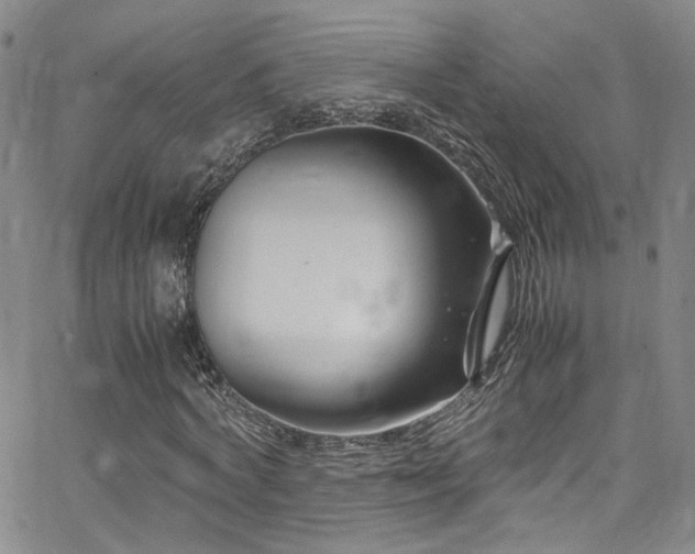 X0000062630772200512211228