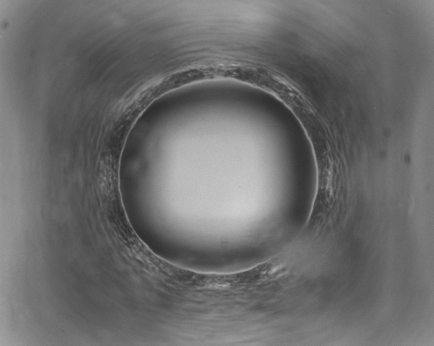 X0000062630773200512211228