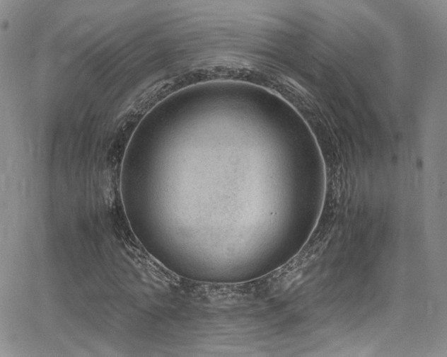 X0000062630774200512211228