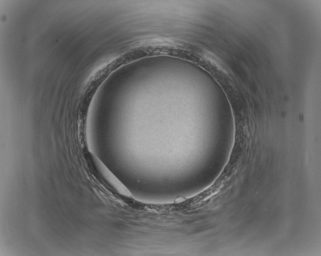 X0000062630775200512211228