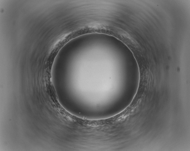 X0000062630776200512211228