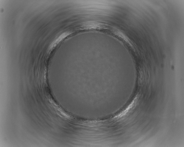 X0000062630778200512211228