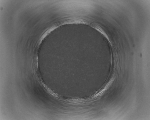 X0000062630781200512211228