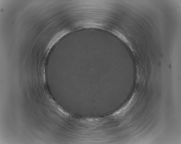 X0000062630782200512211228