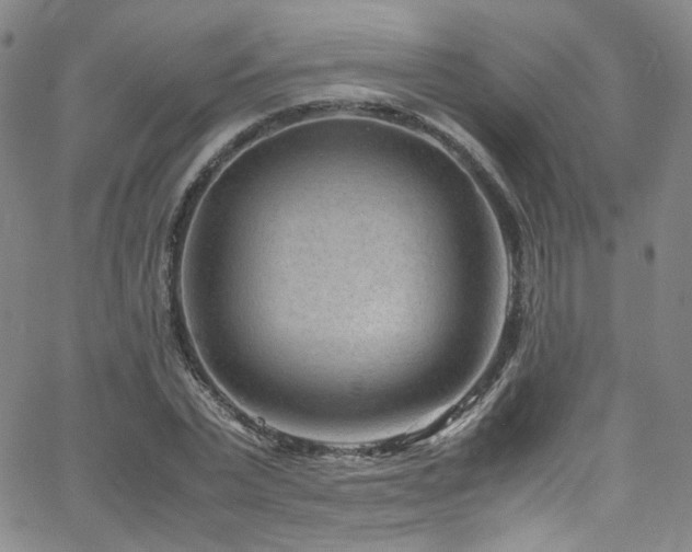 X0000062630783200512211228