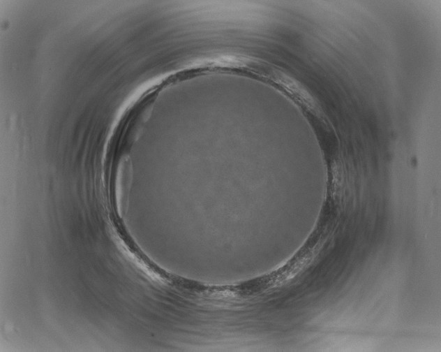 X0000062630784200512211228