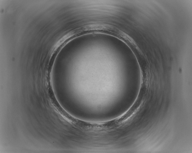 X0000062630786200512211228