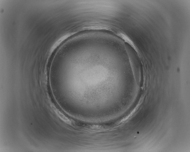 X0000062630787200512211228