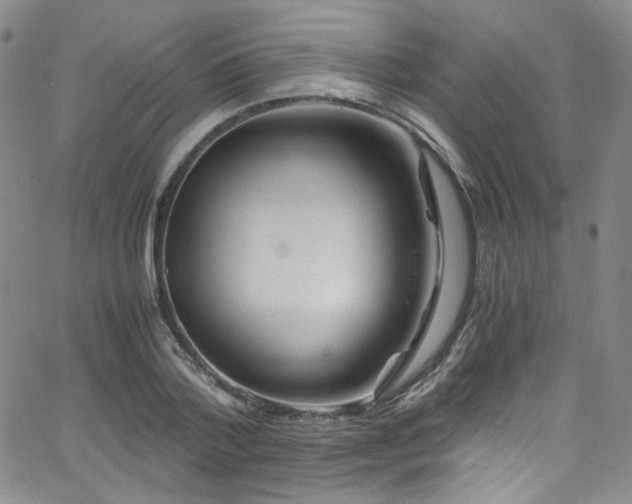 X0000062630788200512211228