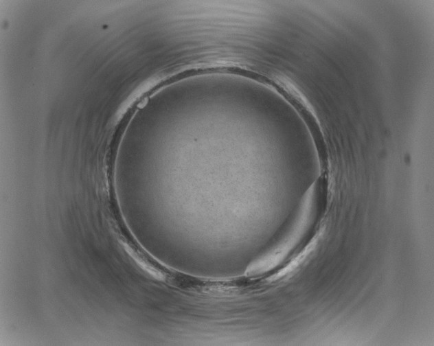 X0000062630789200512211228