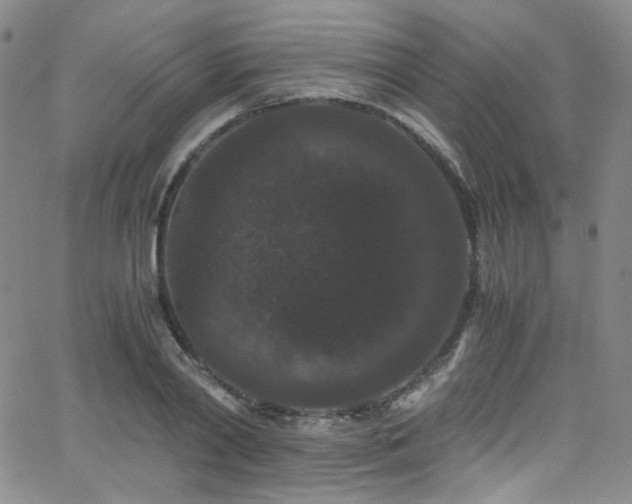 X0000062630790200512211228