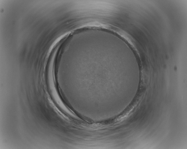 X0000062630791200512211228