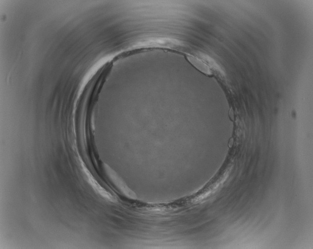 X0000062630792200512211228