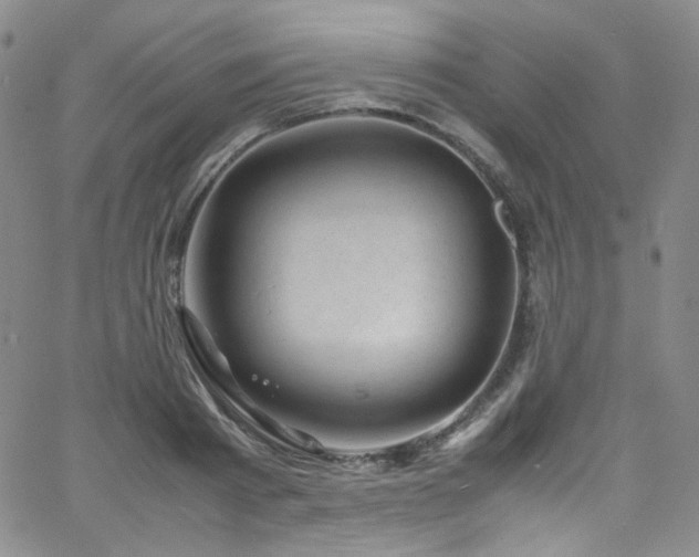 X0000062630793200512211228