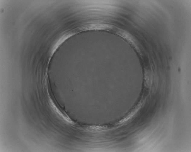 X0000062630794200512211228