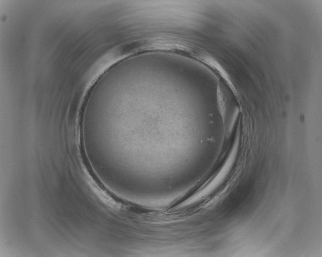 X0000062630795200512211228