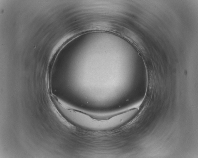 X0000062630796200512211228