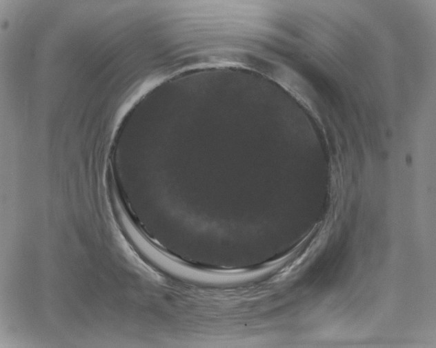 X0000062630797200512211227