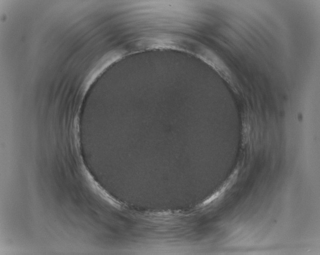 X0000062630798200512211227