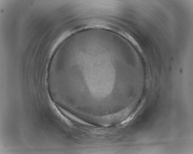 X0000062630799200512211227