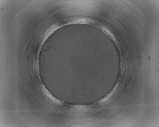 X0000062630800200512211227