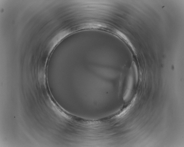 X0000062630802200512211227