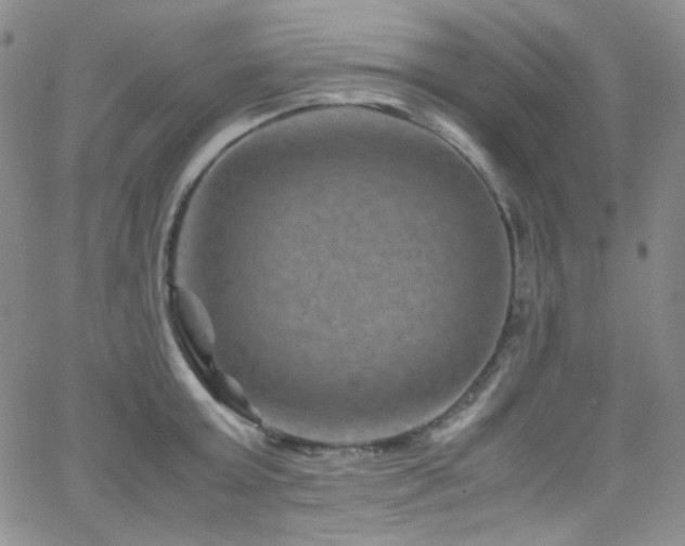 X0000062630803200512211227