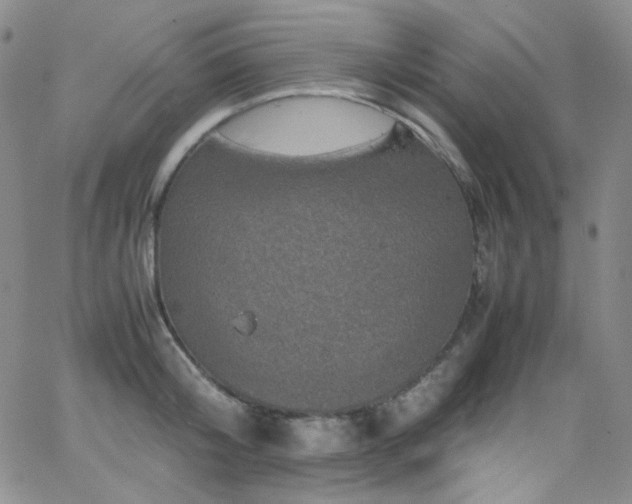 X0000062630804200512211227