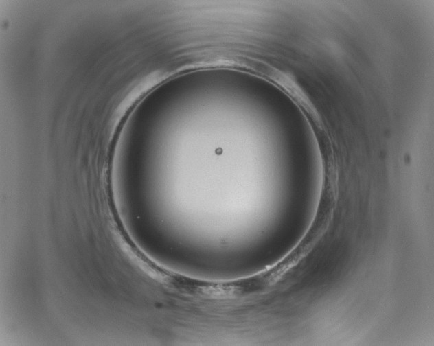 X0000062630805200512211227