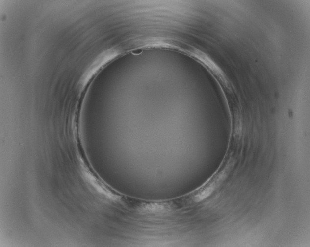 X0000062630806200512211227