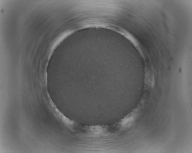 X0000062630807200512211227