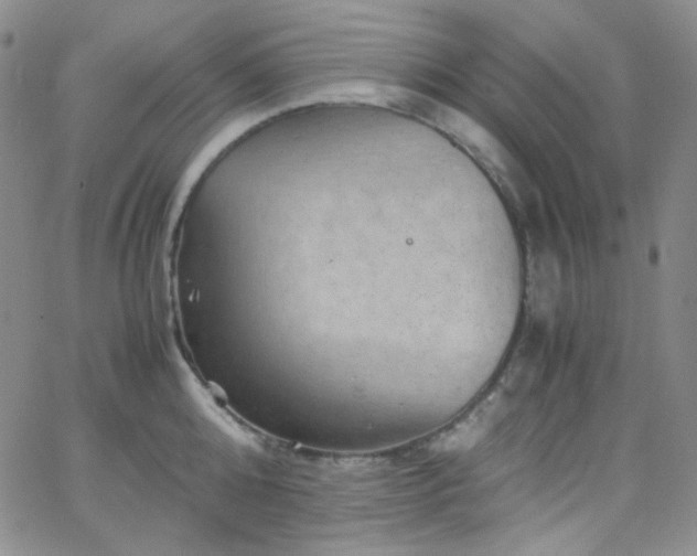 X0000062630808200512211227