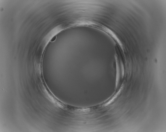 X0000062630810200512211227