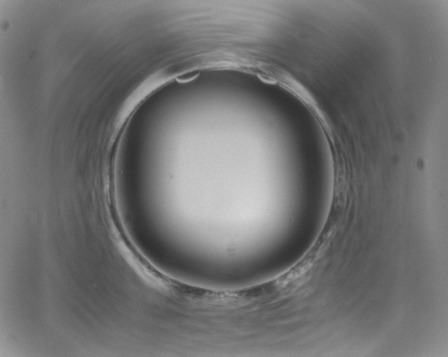 X0000062630811200512211227