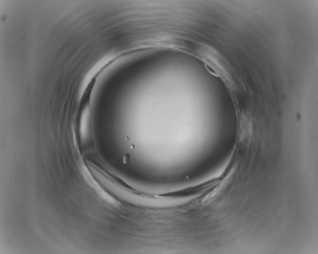 X0000062630812200512211227