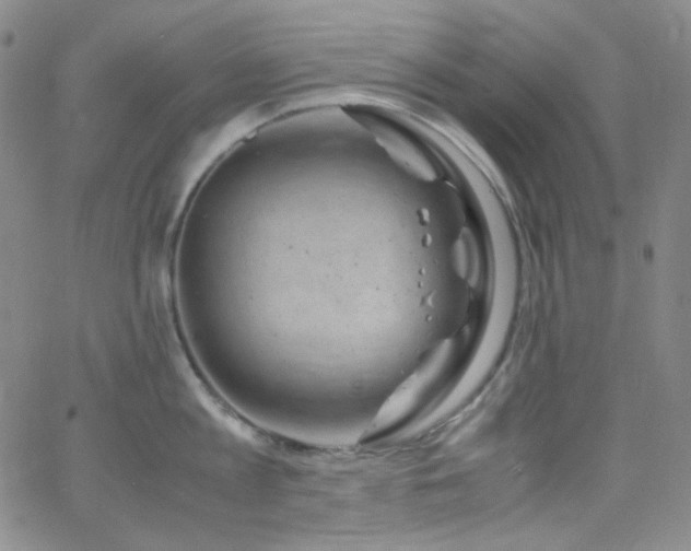 X0000062630813200512211227