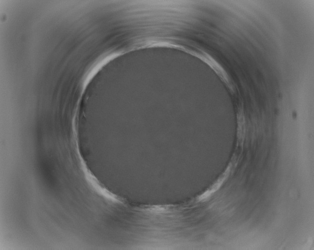 X0000062630814200512211227