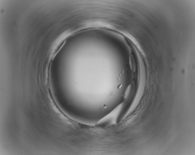 X0000062630815200512211227