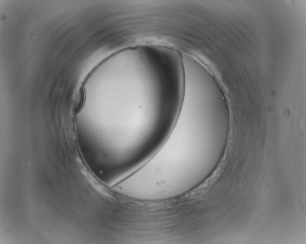 X0000062630816200512211227