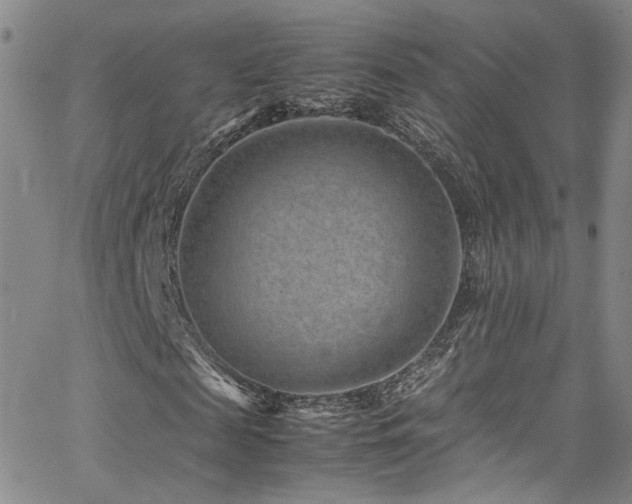 X0000062630817200512211226