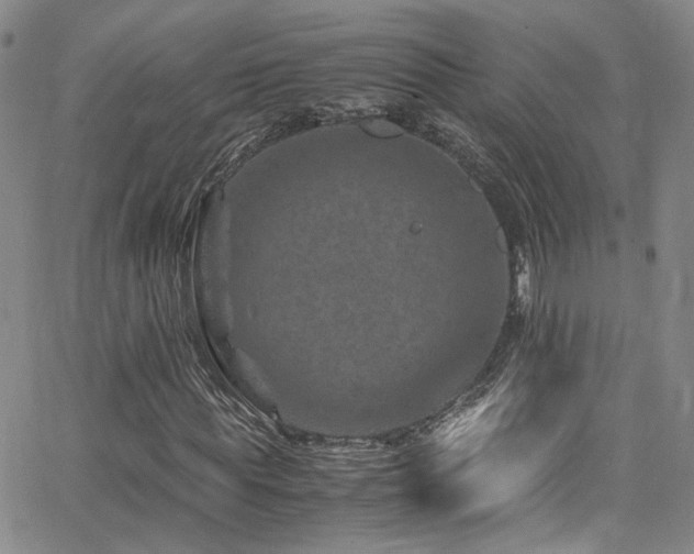 X0000062630819200512211226