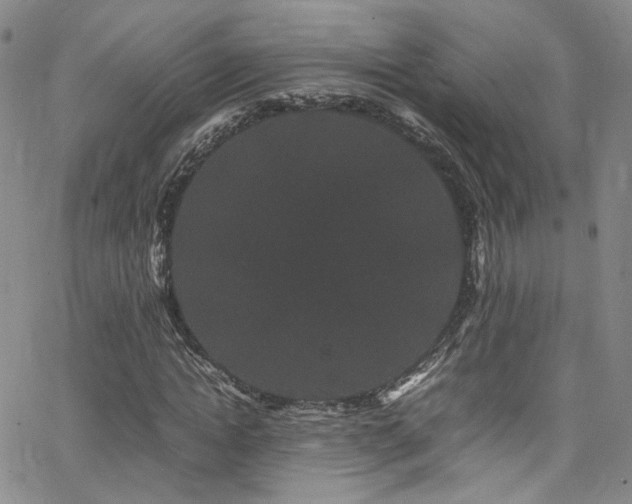 X0000062630822200512211226